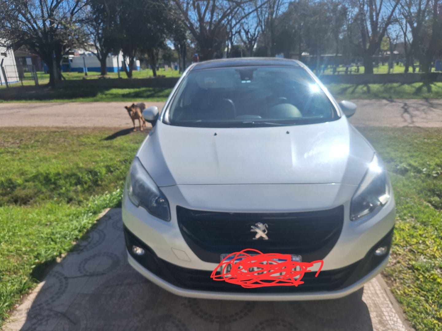 Peugeot 308 2020 en venta