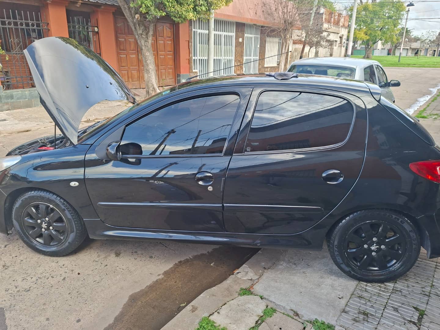 Peugeot 207 2008 en venta